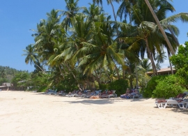 Paradise Beach Club Mirissa - zájezdy Srí Lanka