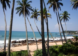 pláž, Srí Lanka