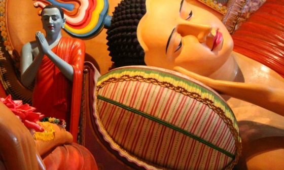 Zájezdy Srí Lanka - Buddha